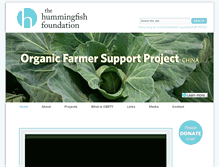 Tablet Screenshot of hummingfish.org